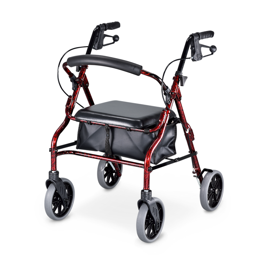 4206 經典款助步車