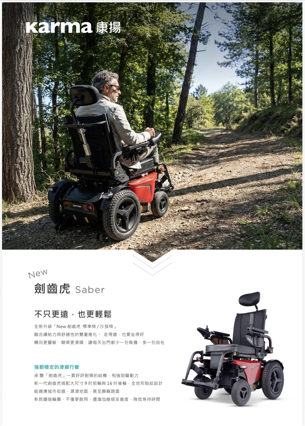 New 劍齒虎 標準椅 SBR-SLN