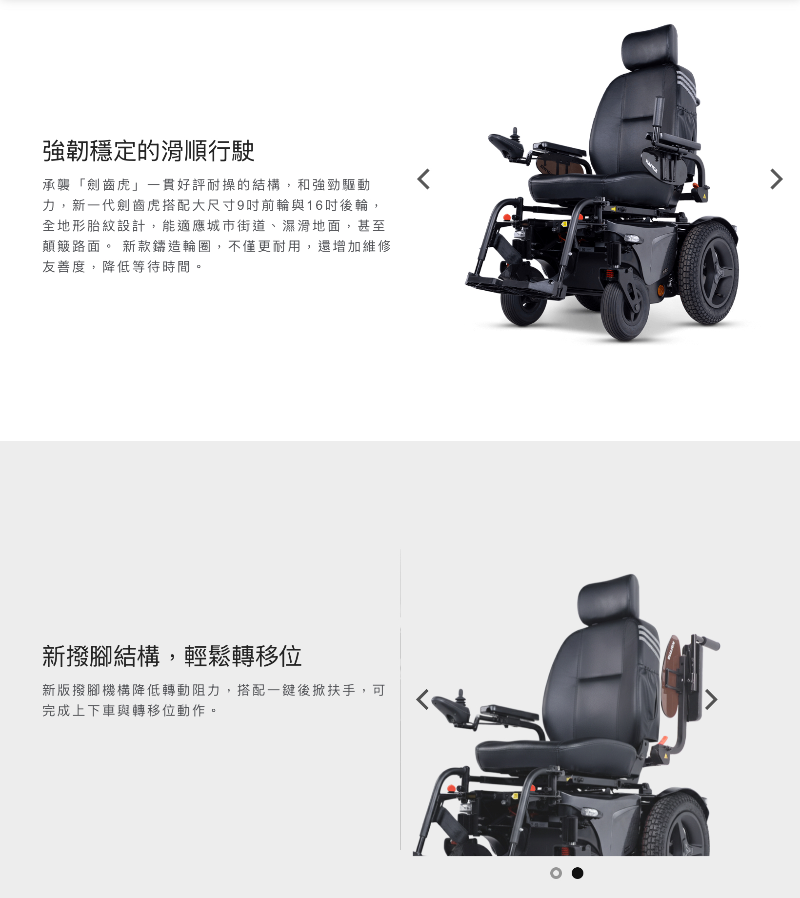 New 劍齒虎 沙發椅 SBR-CPT